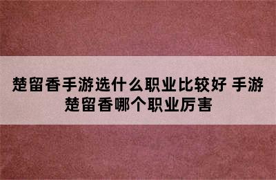 楚留香手游选什么职业比较好 手游楚留香哪个职业厉害